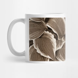 Hosta Leaves In The Rain 4 Mug